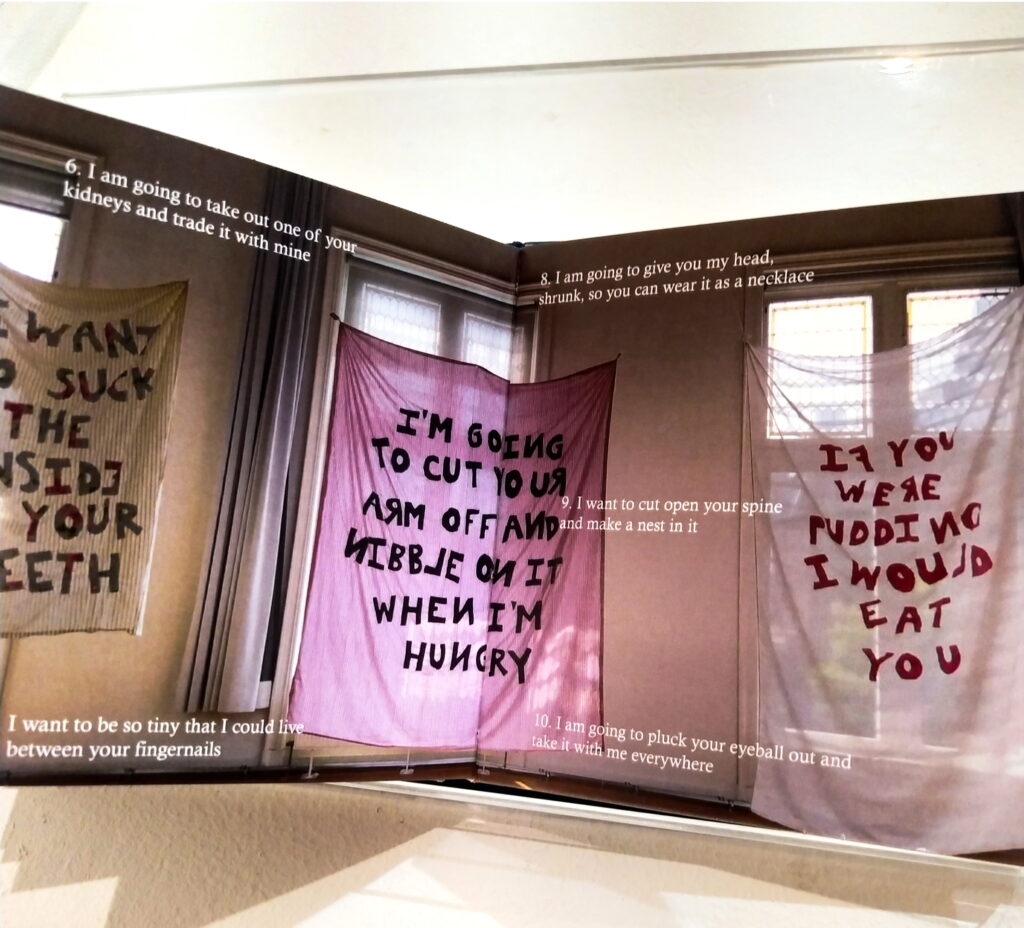 "Rapture/Rupture", artist book, 2023